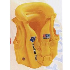 Жилет надувной INTEX Делюкс для обучения плаванию (3-6 лет) (1/24) Жилет надувной INTEX Делюкс для обучения плаванию (3-6 лет) (1/24)