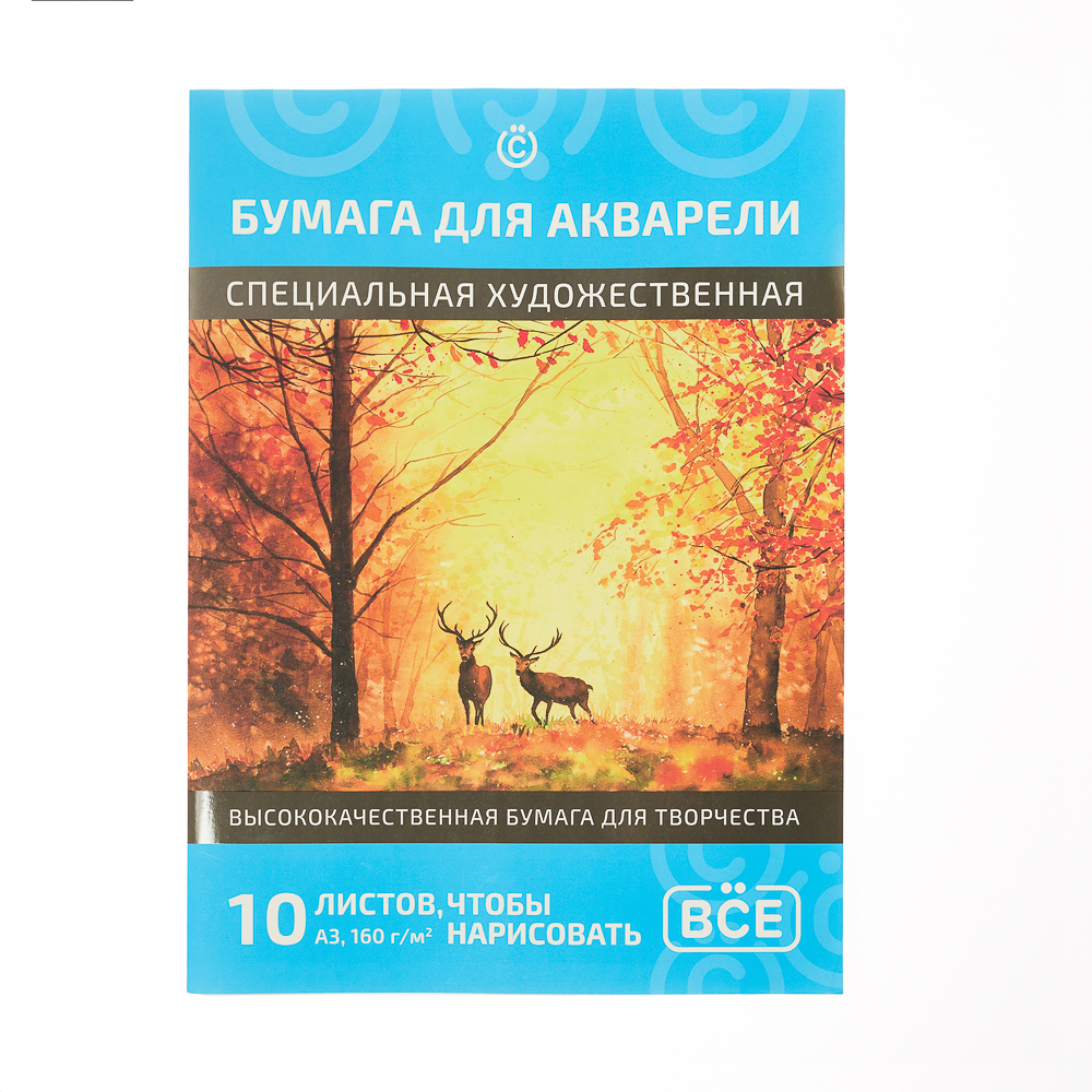 Бумага д/акварели в папке, A3, 10 листов, 160 г/м2, обл. мелован. картон, 2 диз. ВСЁГАЗИН (1/20)