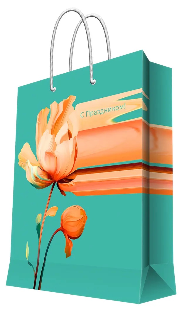 Бумажный пакет 26*33*13см д/сувенирной продукции с тиснением и конгревом (12/144)