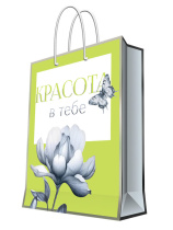 Бумажный пакет 17,8x22,9x9,8см д/сувенирной продукции с ламинацией (12/240)
