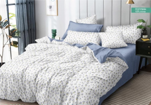 КПБ Поплин 2,0 сп с Евро 220*240 (1/6)