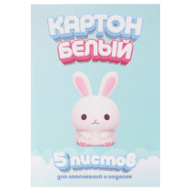 Картон белый 5 листов ClipStudio 19*27,5 см, в папке (1/35)
