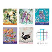 Тетрадь 48л. в клетку, офсет, обл.картон, "Джипы/ Птицы, Тюлень", УФ лак (20/80)