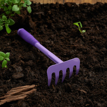 Грабли садовые, 29х9.5см, PP, металл INBLOOM (1/12)