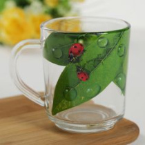 Кружка 200мл "Живая природа Зеленый лист" (12)